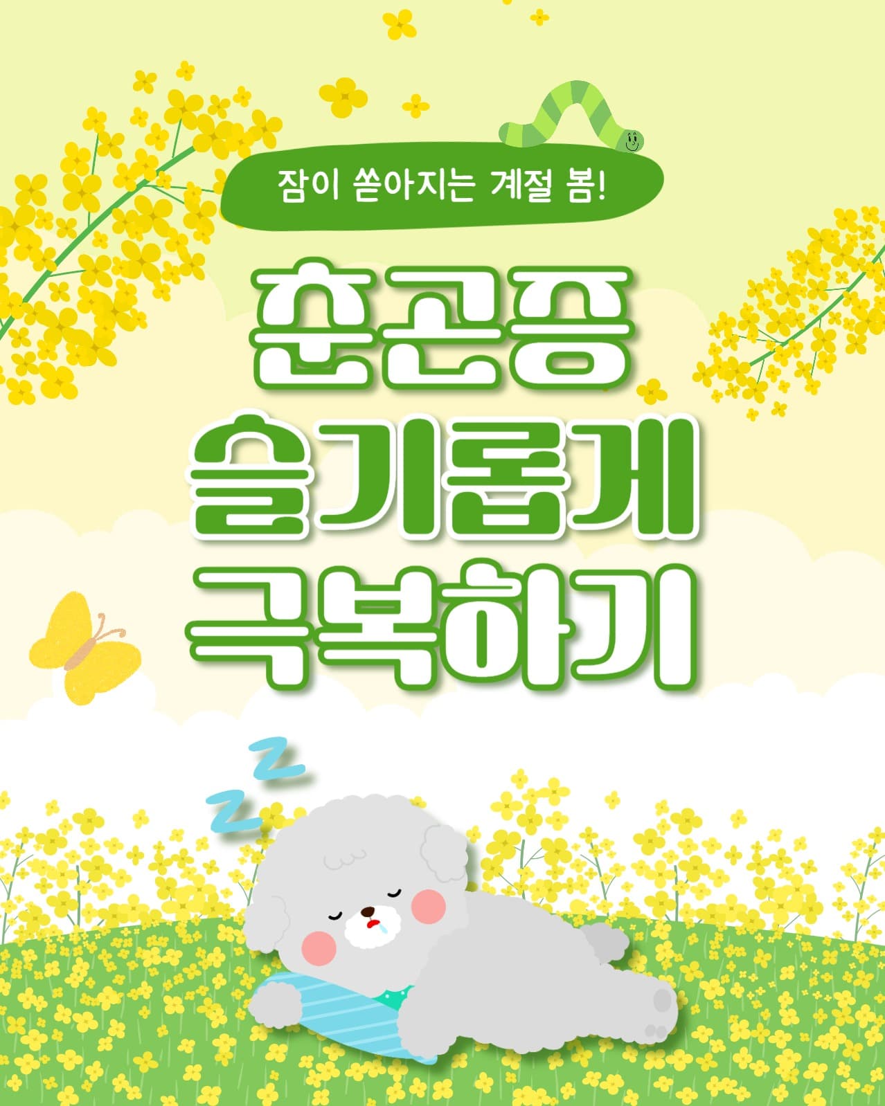 춘곤증 극복하기 인스타(세로)