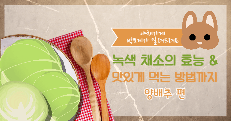 야채가게 박토끼 인스타
