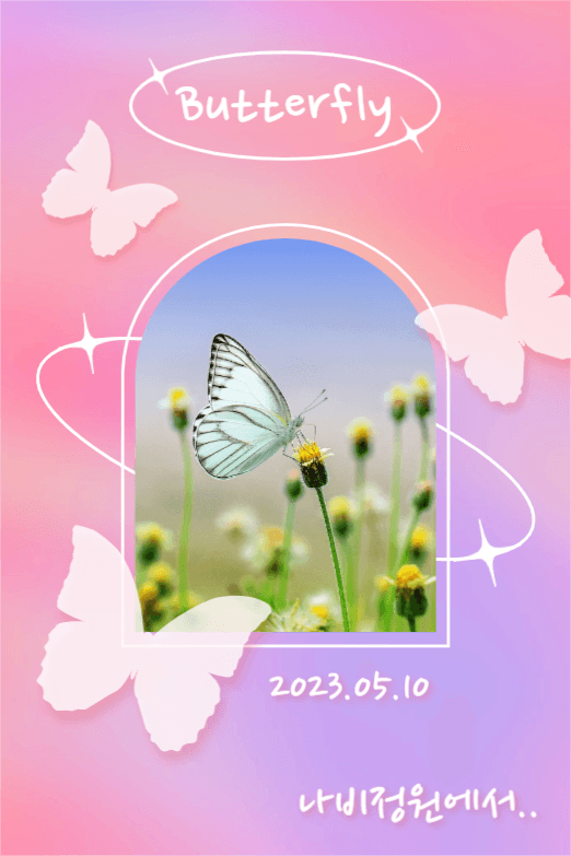 Butterfly (페북)