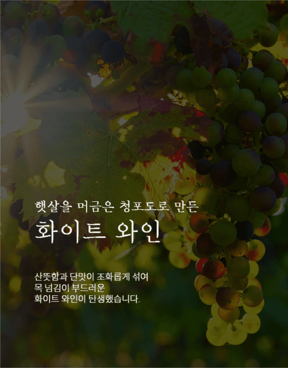 와인 상세페이지