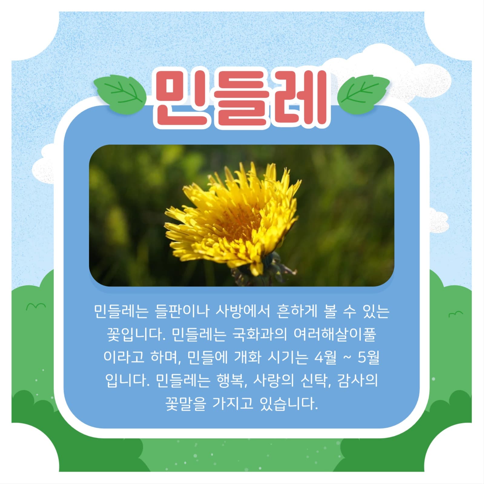 봄꽃 템플릿