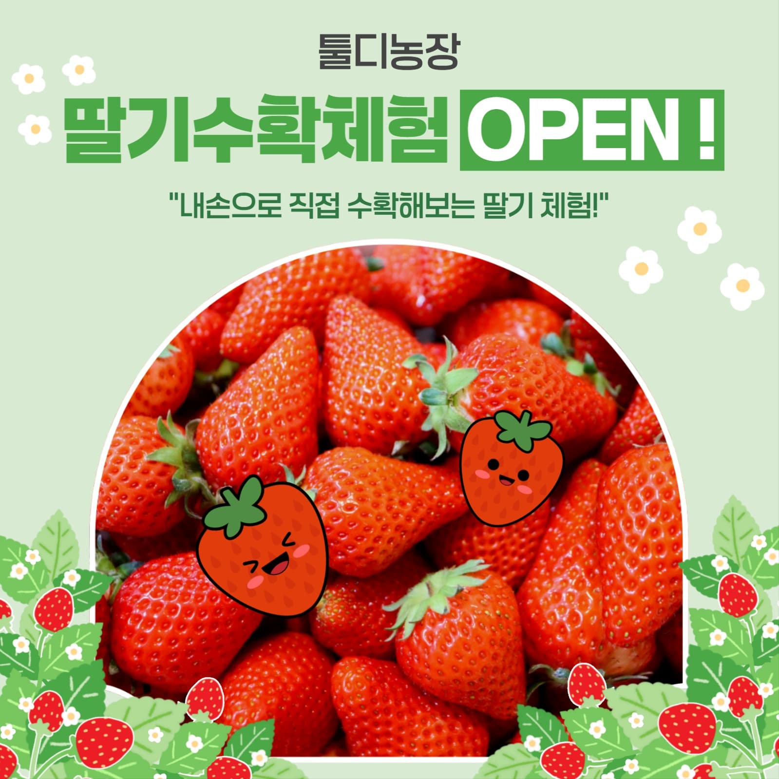 딸기수확체험 OPEN !
