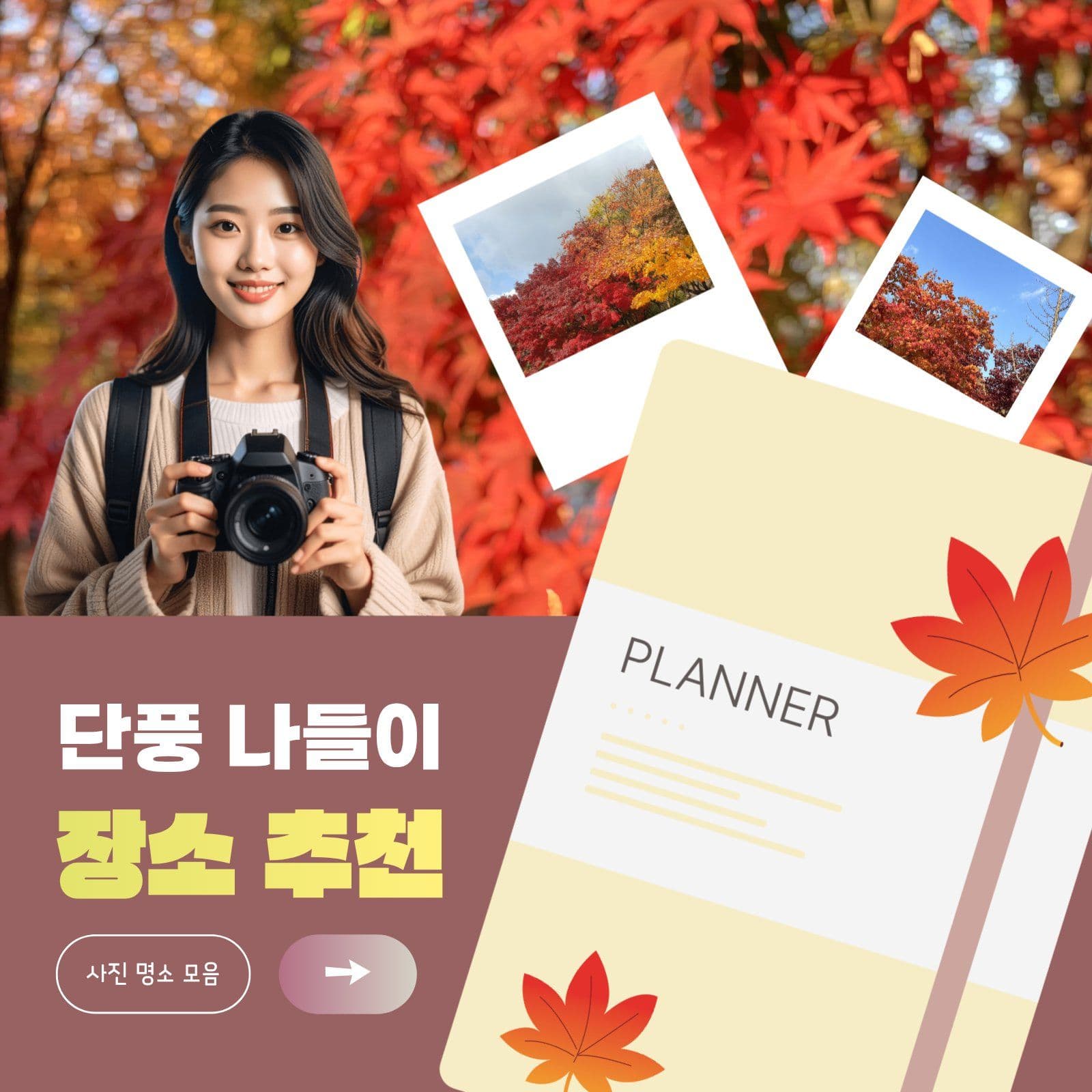 단풍 나들이 사진 명소 추천 가을