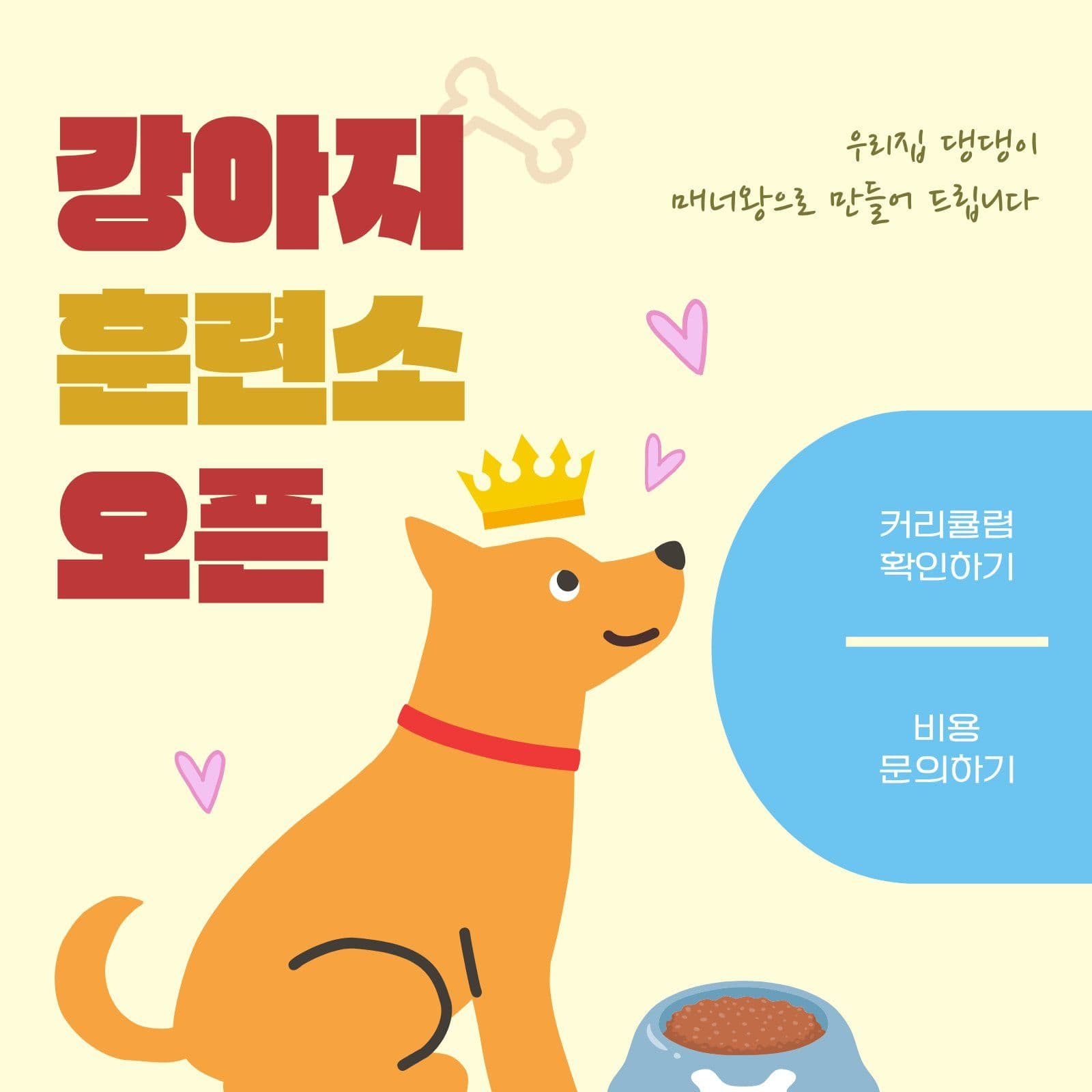 강아지 훈련소 오픈 안내 홍보 반려견