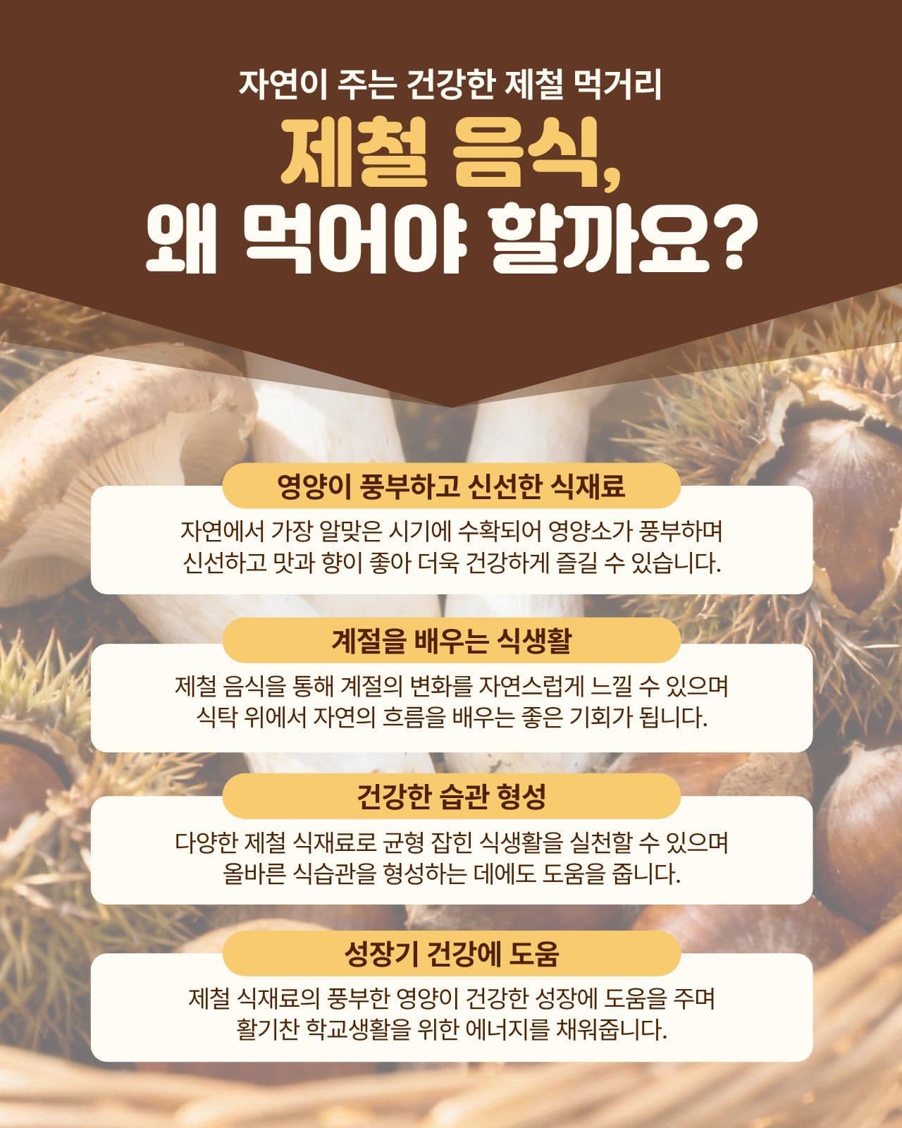 제철 음식의 모든 것 건강